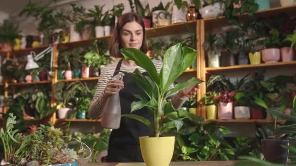 专业迷人的年轻女花匠在舒适的植物园中照料植物 喷洒水和擦拭花朵 漂亮而快乐的女人穿着围裙笑着 植物概念 — 图库视频影像