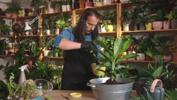 在花店工作的年轻的高加索男性花匠重新种植花卉以照顾土壤和植物 戴着手套和围裙的漂亮而专注的长发男人 — 图库视频影像