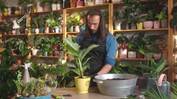 Portrait Busy Beautiful Young Man Working Florist Flower Shop Replanting — Stock Video