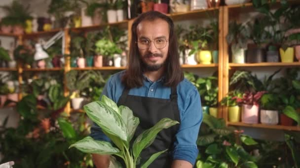 在花店工作的积极的年轻男性专业花匠的画像 看着相机微笑 快乐的高加索人重新植花 照顾着戴着围裙和眼镜的植物 — 图库视频影像