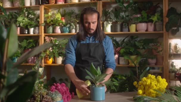 年轻的高加索人很有魅力 他在花店工作 照看着洒满水的植物 擦拭着花的叶子 以穿着围裙的男性专业花匠为重点 植物概念 — 图库视频影像