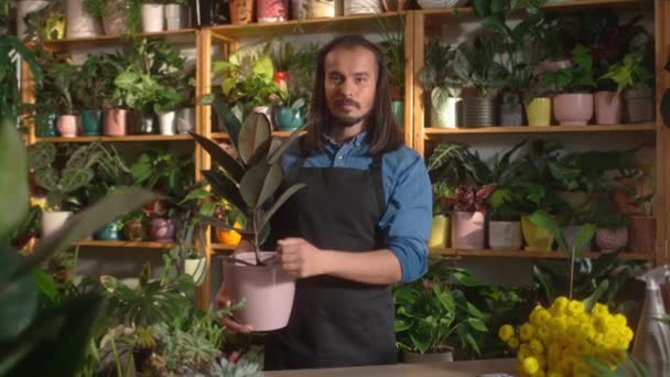 美丽专业的高加索男性花匠的画像 手持植物看着相机 有自信的年轻人在花店打理植物 植物概念 — 图库视频影像