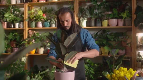 忙碌的年轻专业的高加索男性花匠用水洗喷洒植物 迷人而专注的成年男子在花店工作 照看着戴着围裙的花朵 植物概念 — 图库视频影像