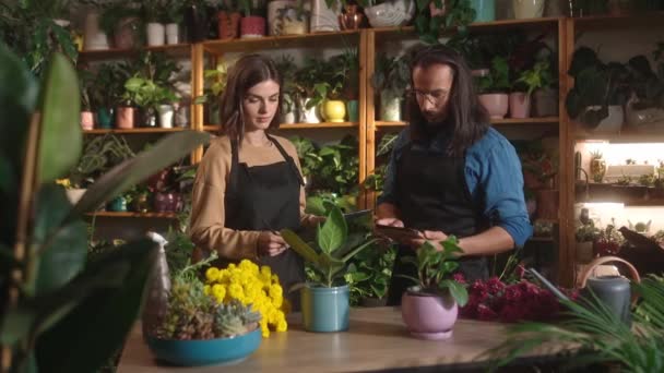 Dva Atraktivní Úspěšní Pracovníci Květinové Sféry Dohlížející Rostliny Pracující Květinářství — Stock video
