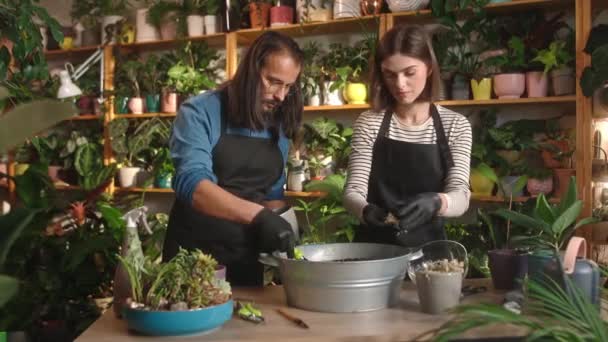 Two Professional Caring Florists Adding Fertilizers Soil Flowers Flower Shop — Video
