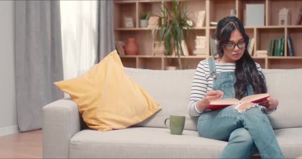 Mulher Bonita Com Óculos Sentados Sofá Confortável Sala Estar Charmoso — Vídeo de Stock
