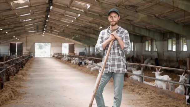 Ζουμ Όμορφος Καυκάσιος Αγρότης Στέκεται Στον Αχυρώνα Ενώ Κατσίκες Τρώνε — Αρχείο Βίντεο