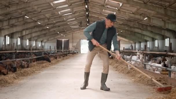 Atrakcyjny Ciężko Pracujący Biały Mężczyzna Sprzątający Farmę Zajęty Fermer Miotłą — Wideo stockowe