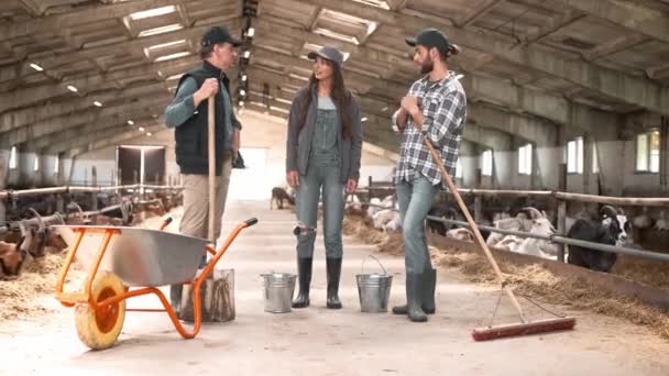Güzel Beyaz Çiftçiler Ahırı Temizlemeye Hazırlanıyor Görünümlü Tarımsal Insanlar Ellerinde — Stok video