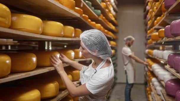 製品の有効期限をチェックかなり白人女性 チーズの車輪を動かし 不完全さを見つける忙しい人々 生産品質管理に従事 クラフトチーズ作りの概念 — ストック動画