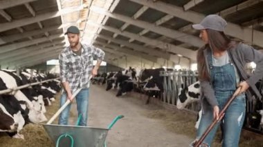 Ahırda çalışan Kafkasyalı çiftçiler. Saman süpüren tarımsal aletleri olan gençler. Evcil hayvanları önemseyen ortaklar. Çiftlikte konuşurken ve gülümserken. Çiftçilik kavramı.