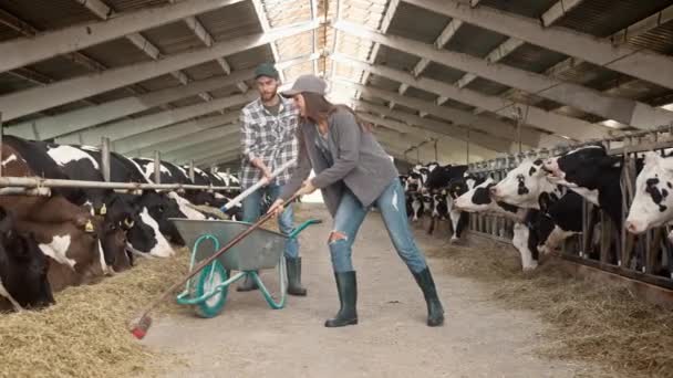 Çiftlikteki Ahırlarda Çalışan Pozitif Çiftçiler Mutlu Işçiler Saman Toplarken Konuşuyor — Stok video