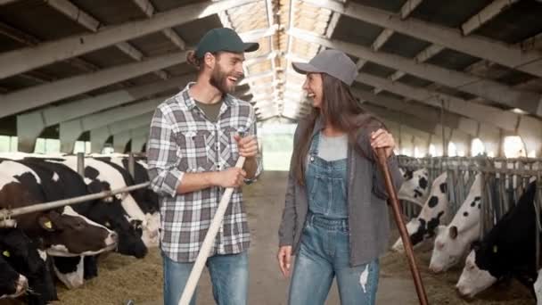 有魅力的白人在谷仓里积极地交流和大笑 年轻工人和许多牛一起站在棚里 背景中的奶牛在咀嚼干草 农业企业的概念 — 图库视频影像