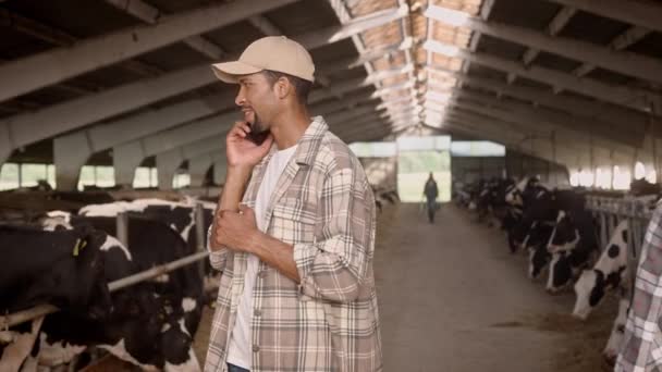 英俊的非洲裔美国农民用手机和客栈里的客户交谈 忙碌的男人向他的员工致意 挥挥手微笑 背景中的奶牛站在谷仓里吃着干草 — 图库视频影像