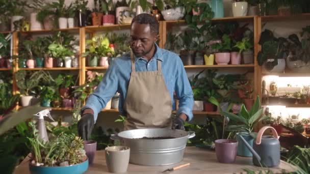 金属容器に受精や腐植を投げる忙しいアフリカ系アメリカ人の庭師 装飾的な植物や花を庭に準備する テーブルの上にあるポットと植物の緑 趣味の概念 — ストック動画