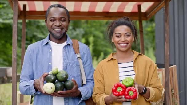 Dois Compradores Afro Americanos Perto Balcão Mercado Alimentos Pessoas Positivas — Vídeo de Stock