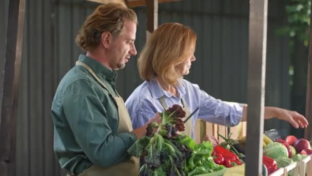 Trabalhadores Caucasianos Casal Agricultores Com Aventais Trabalhando Juntos Mercado Local — Vídeo de Stock