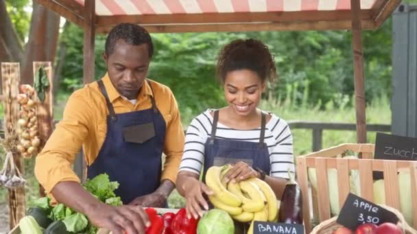 Povo Afro Americano Ocupado Com Aventais Colocando Frutas Maduras Caixa — Vídeo de Stock