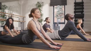 Fitness stüdyosunda yoga yapan melez insanların yan görüntüsü. Gerinme egzersizleri yapıyorum. Spor minderinin üzerinde yatarken esneklik ve vücut dengesini geliştirmek. Grup eğitimi.