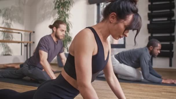 Grupp Blandras Människor Tränar Stretching Övningar Och Pilates Yogamatta Fitness — Stockvideo