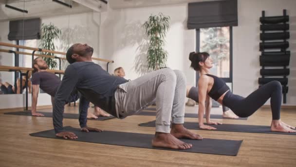 Vista Lateral Personas Raza Mixta Realizando Ejercicios Yoga Colchonetas Fitness — Vídeos de Stock