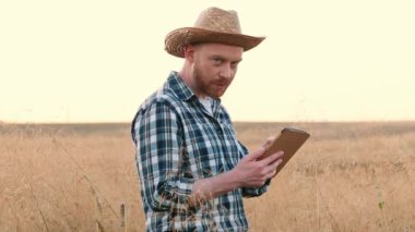 Yatay çekim. Erkek çiftçi tablet tutuyor. Çavdar tarlasında duran kareli gömlekli ve hasır şapkalı adam. Gülümseyen çiftçi başını kaldırıp kameraya bakıyor. Buğday veya arpa tarlasında duran neşeli çiftçi.