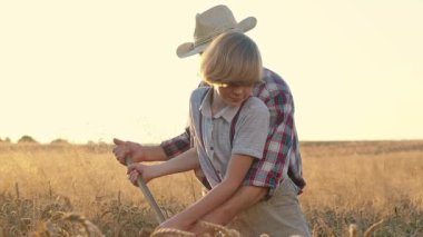 Yatay çekim. Tırpan ve buğday biçen küçük çocuk. Dedem ve torunum arpa tarlasında çalışıyor. Hasır şapkalı kıdemli çiftçi çocuğa çim biçmeyi öğretiyor. Aile tarım şirketi.