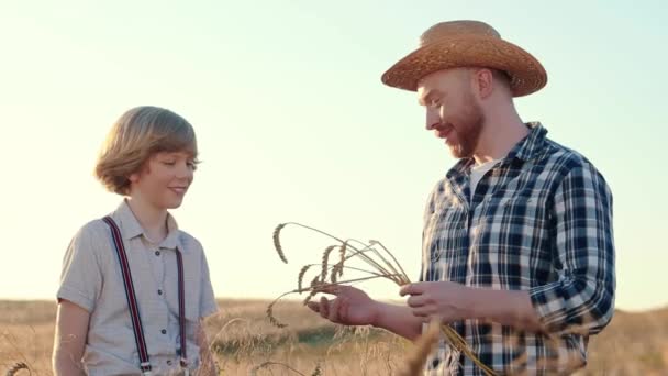 Yatay Çekim Buğday Kulağı Tutan Neşeli Çiftçi Gülümseyen Baba Oğul — Stok video