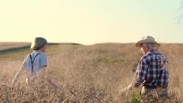 Vízszintes Lövés Hátulról Ahogy Nagyapa Unokája Sétálnak Pályán Rangidős Farmer — Stock videók