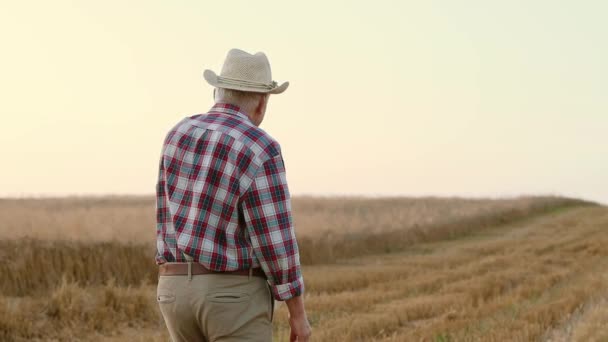 水平ショット 祖父は手を振り 孫に電話した おじいちゃんに走るハッピーな少年 チェッカーされたシャツとストロー帽子のシニア農家 グランドソンはフィールドで祖父を受け入れる — ストック動画