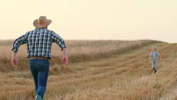 水平ショット 息子に走る父親 小さな男の子が父親に走っている チェッカーされたシャツとストロー帽子の男性農家 父親は野原に立っている腕の中で息子を回した ファミリー農業事業 — ストック動画