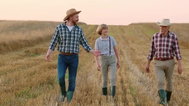 수평한 밀밭에서 걸어다니는 3세대 사람들 아버지 할아버지 손자는 보리밭에서 얘기하죠 — 비디오