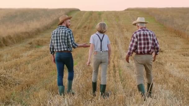 侧向射击 两名农民和男孩在麦田散步时的倒车镜头 祖父和孙子在大麦地里谈话 快乐的男人 穿着格子衬衫 头戴草帽 向男孩展示丰收 — 图库视频影像