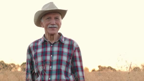Горизонтальный Выстрел Портрет Старшего Фермера Стоящего Ячменном Пшеничном Поле Мужчина — стоковое видео