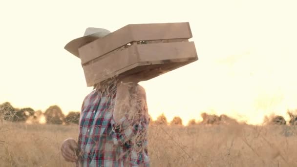 Tiro Horizontal Retrato Agricultor Sénior Campo Trigo Homem Com Chapéu — Vídeo de Stock