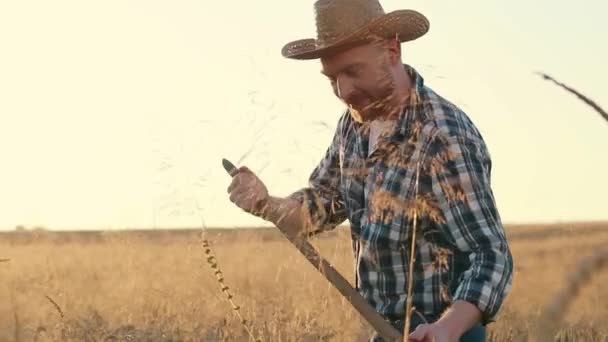 Yatay Çekim Tarım Işçisi Tırpan Buğday Biçiyor Kareli Gömlek Giyen — Stok video