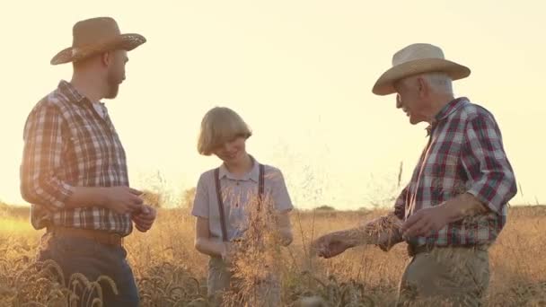 侧向射击 三代人站在麦田边 祖父和孙子在大麦地里谈话 快乐的男孩嘴里衔着麦穗 戴着草帽的有经验的农民 — 图库视频影像