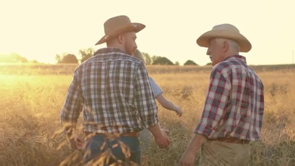 수평한 밀밭에서 걸어다니는 남자와 소년의 아버지 할아버지 손자는 보리밭에서 얘기하죠 — 비디오