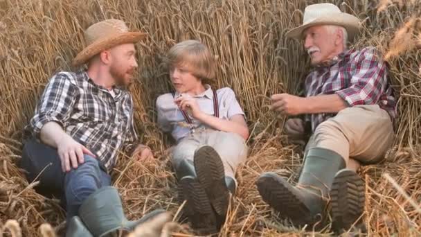 水平ショット 小麦畑で二人の男の子が横たわっている 孫が小麦の耳に横たわっている 小麦の耳を口に抱えている幸せな少年 ゴムブーツの農民が話し リラックス — ストック動画