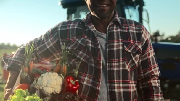 Ein Afroamerikanischer Bauer Mit Einer Holzkiste Voller Ernte Fröhlicher Landarbeiter — Stockvideo