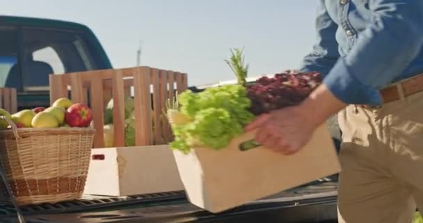 木箱を収穫した男性の手のクローズアップショット 野菜でいっぱいのボックスを持っている農家の手の近くの眺め 男は野菜と果物の完全なトランクを集めた 夏の栽培について — ストック動画