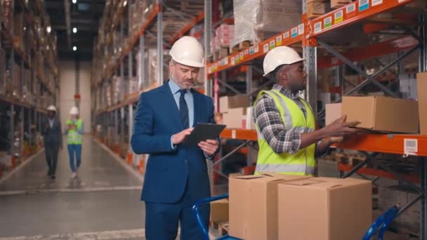 業務プロセスを管理する物流企業の男性スーパーバイザー タブレットを保持し 輸出用の材料を備えた倉庫の監査を実施するフォアマン アフリカ系アメリカ人男性 ラックに箱を配置 — ストック動画