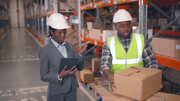 Weibliche Supervisorin Des Logistikunternehmens Die Arbeitsprozesse Steuert Frau Die Tablette — Stockvideo