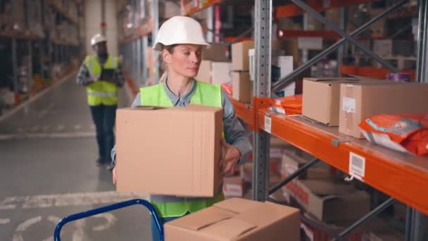 倉庫で働く女性の貯蔵の従業員 輸出のための産業労働者のローディングによって包まれる商品 保護ヘルメットと反射ベストで複数の層の棚にボックスを配置する女性 — ストック動画