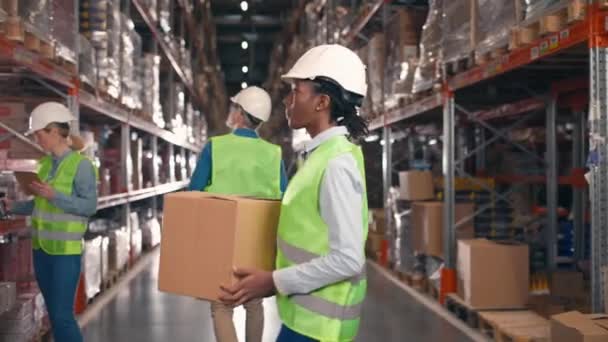 Seitenhieb Auf Einen Afroamerikanischen Industrieangestellten Frau Trägt Schachtel Und Stellt — Stockvideo