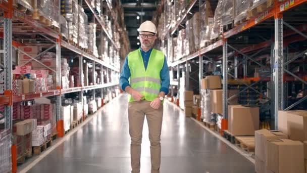 Male Worker Smiling Storage Logistic Enterprise Man Industrial Employee Looking — Stock Video