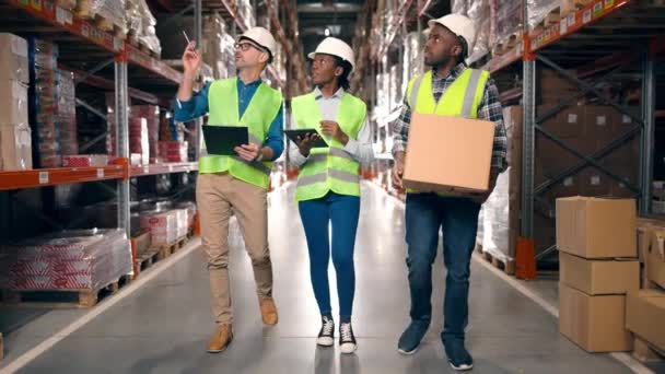 Team Multiethnic Warehouse Workers Walking Stock Building Multicultural People Wearing — Stock Video