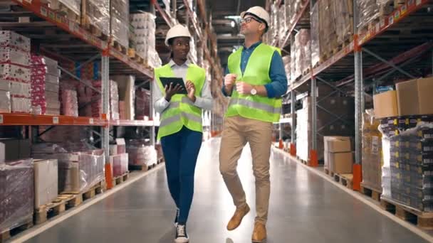 Two Warehouse Workers Walking Storage Multi Tiered Racks African American — Stock Video