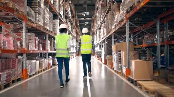 Back Shot Warehouse Workers Walking Storage Multi Tiered Racks African — Stock Video
