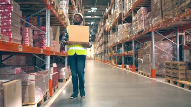 Karyawan Penyimpanan Pria Bekerja Gudang Pekerja Industri Membawa Kotak Latar — Stok Video